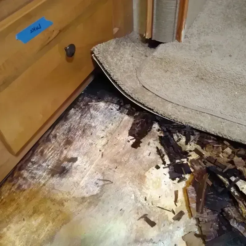 Wood Floor Water Damage in Imperial, CA